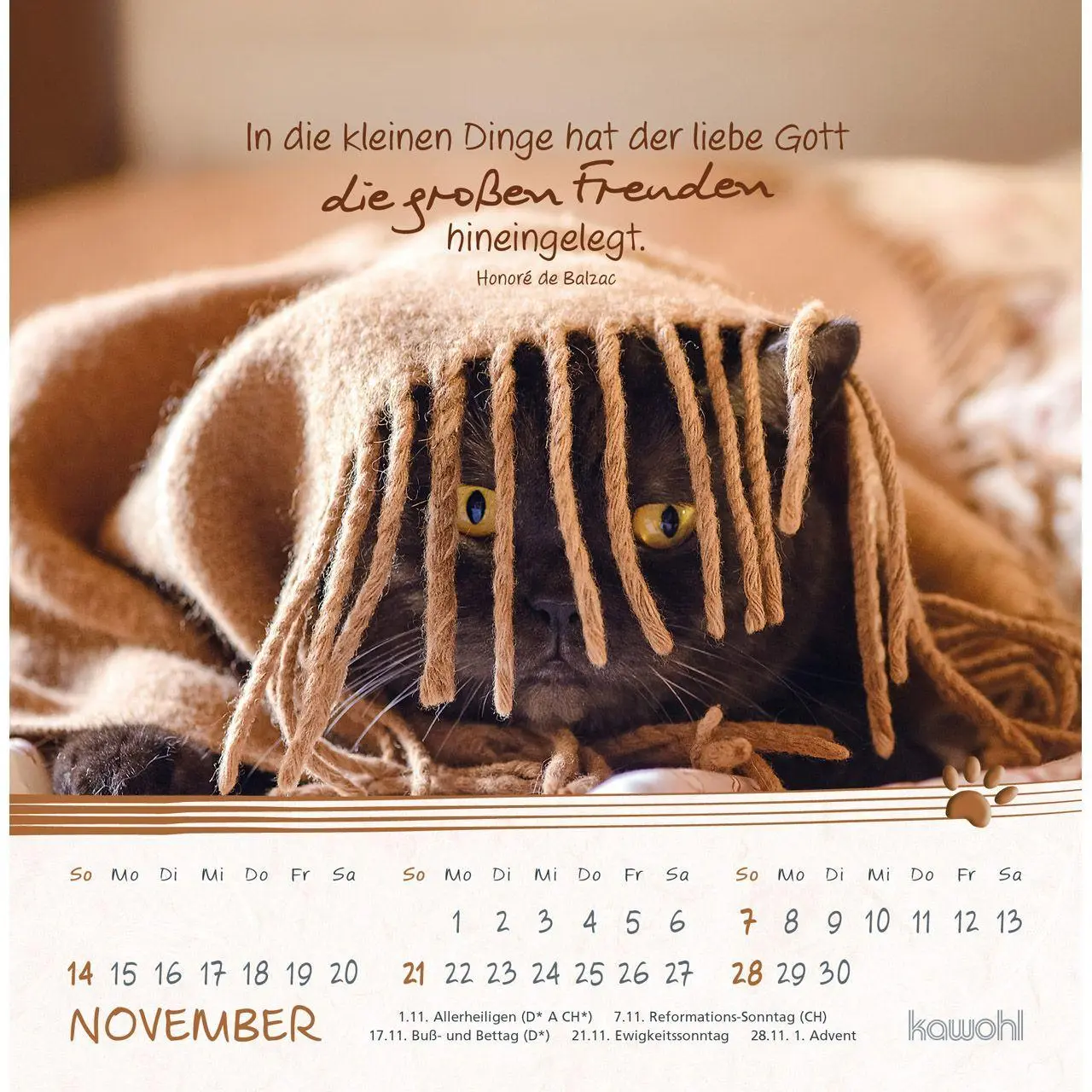 Bild: 9783754816974 | Kleine Katzen-Tatzen 2027 | Postkarten-Kalender | Kalender | 14 S.