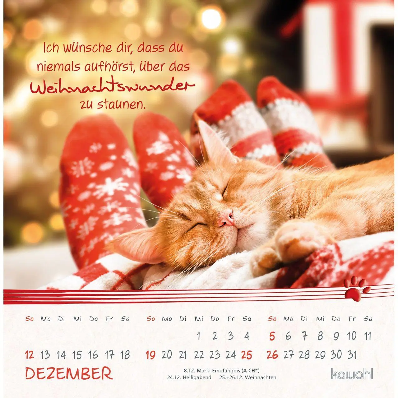 Bild: 9783754816974 | Kleine Katzen-Tatzen 2027 | Postkarten-Kalender | Kalender | 14 S.