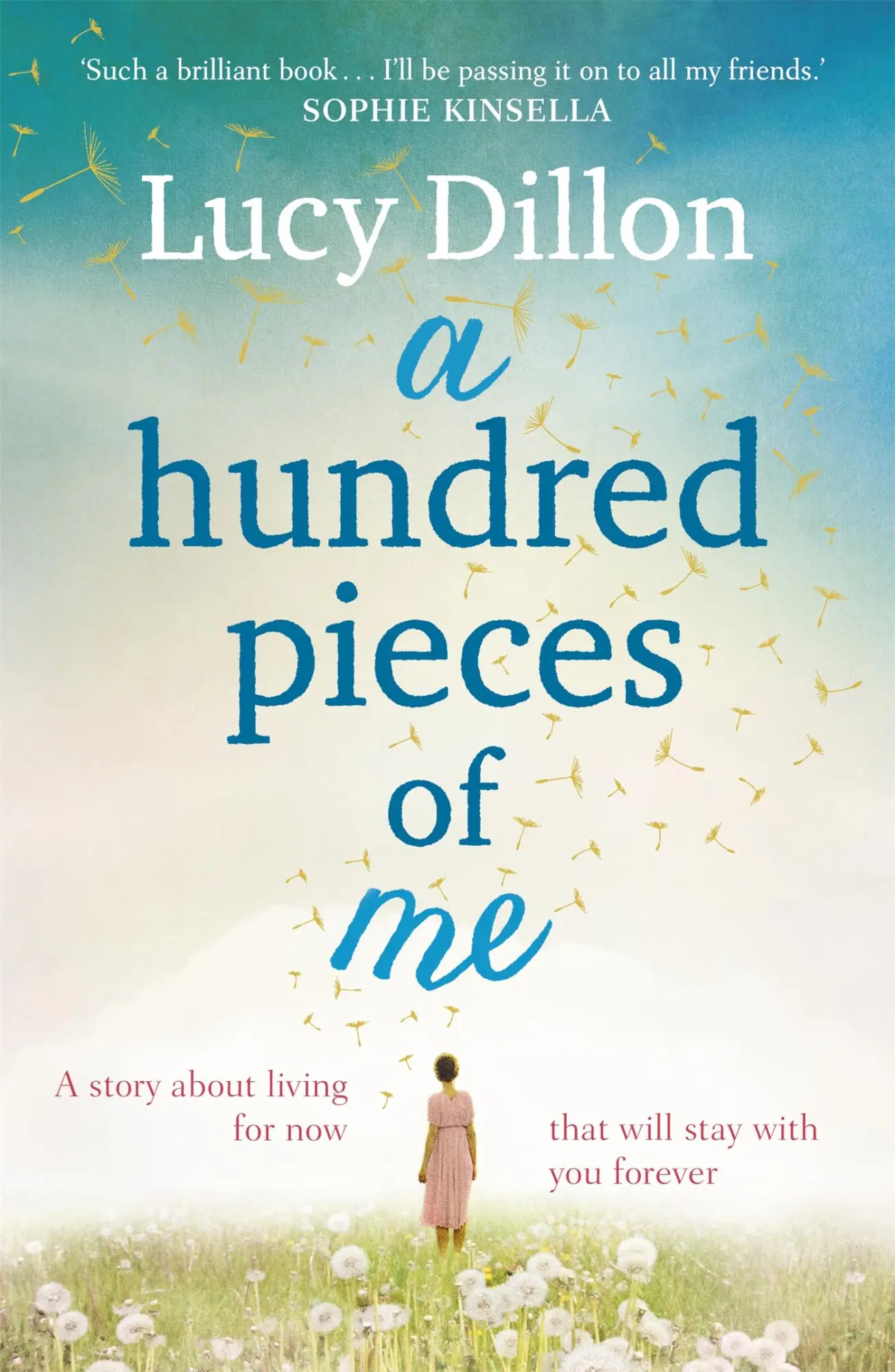 Cover: 9781444727074 | A Hundred Pieces of Me | Lucy Dillon | Taschenbuch | 533 S. | Englisch