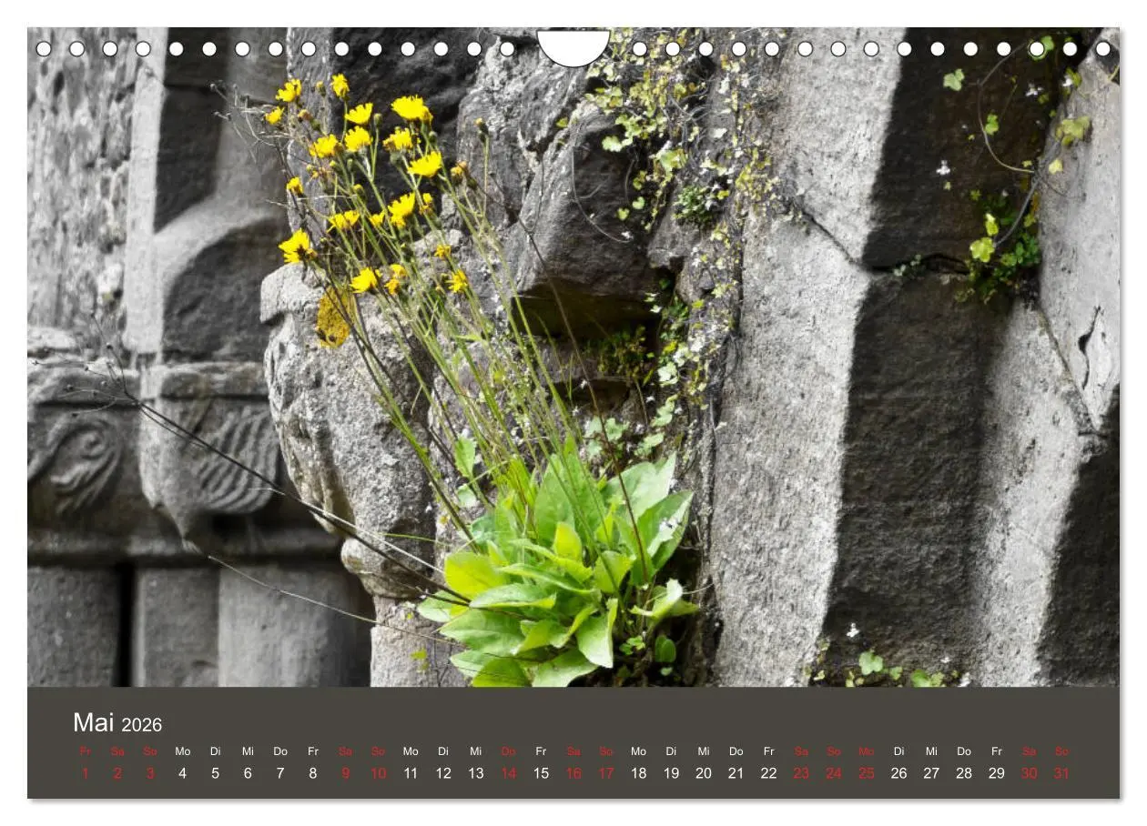 Bild: 9783457877074 | im stift zu bad hersfeld (Wandkalender 2026 DIN A4 quer), CALVENDO...