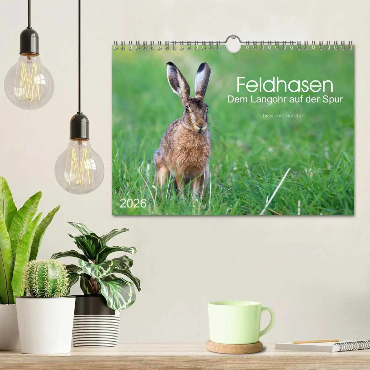 Bild: 9783516037074 | Feldhasen - dem Langohr auf der Spur (Wandkalender 2026 DIN A4...