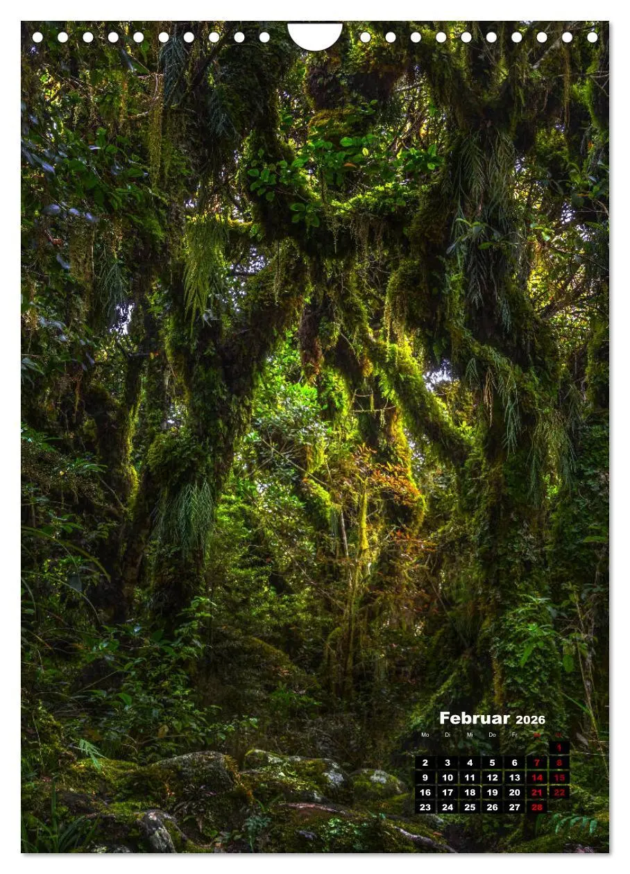 Bild: 9783516417074 | Neuseeland, Inseln der Träume (Wandkalender 2026 DIN A4 hoch),...