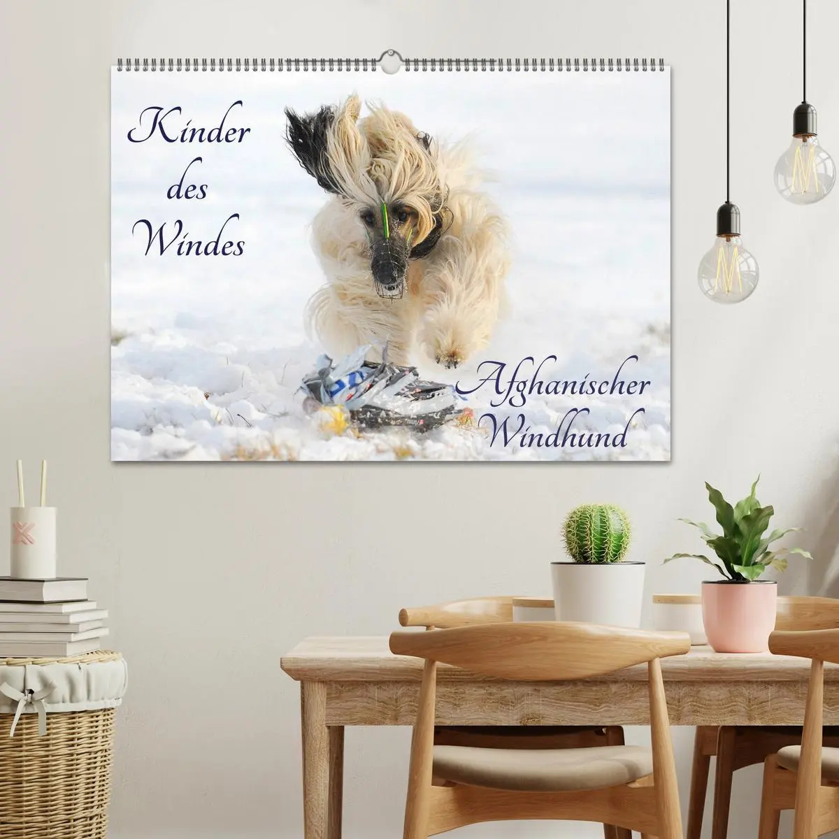 Bild: 9783516027174 | Kinder des Windes - Afghanischer Windhund (Wandkalender 2026 DIN A2...