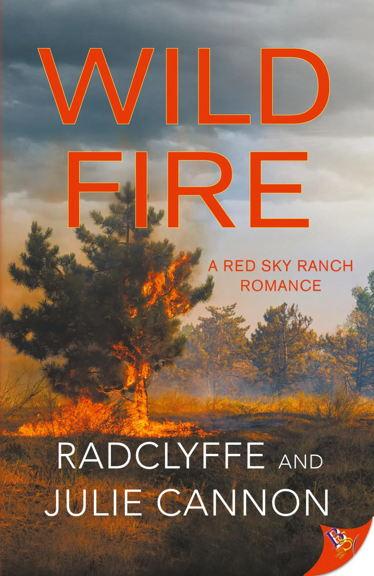 Cover: 9781636797274 | Wild Fire | Radclyffe (u. a.) | Taschenbuch | Englisch | 2024