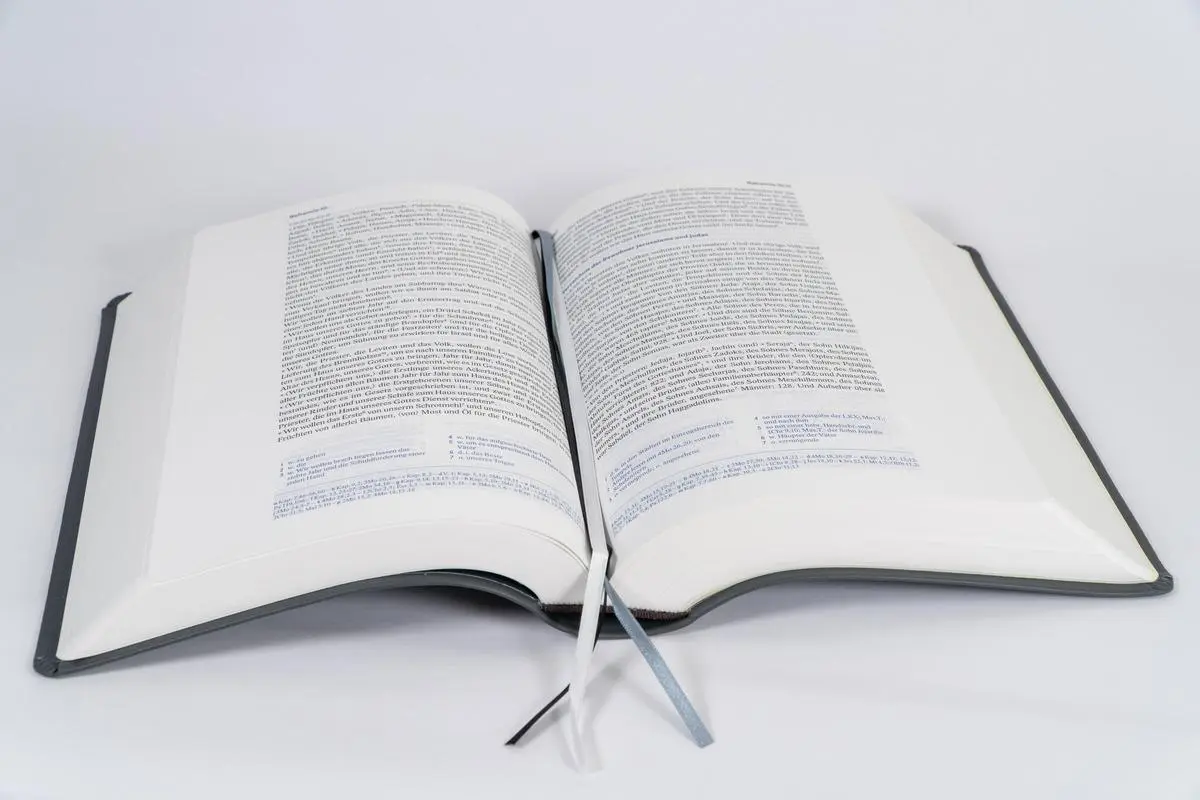 Bild: 9783417257274 | Elberfelder Bibel - mit Schreibrand, Leder | Buch | 1776 S. | Deutsch