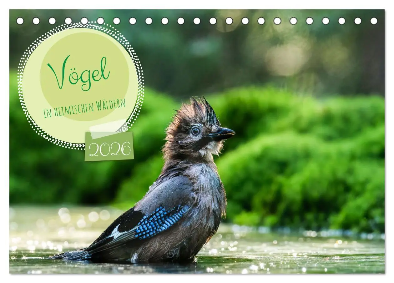 Cover: 9783457477274 | Vögel in heimischen Wäldern (Tischkalender 2026 DIN A5 quer),...