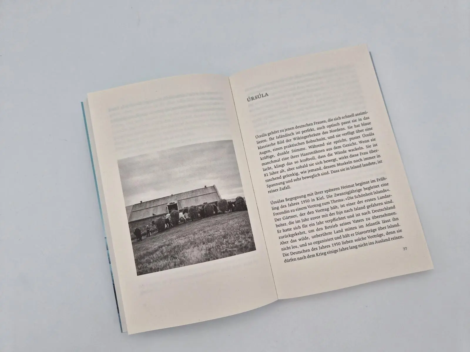 Bild: 9783492407274 | Frauen, Fische, Fjorde | Anne Siegel | Taschenbuch | 272 S. | Deutsch