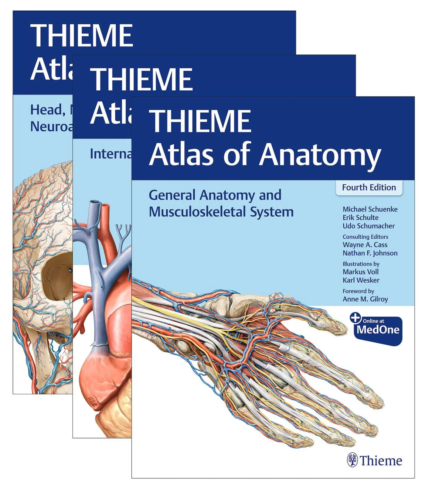 Cover: 9781684207374 | THIEME Atlas of Anatomy, Three Volume Set, Fourth Edition | Bundle
