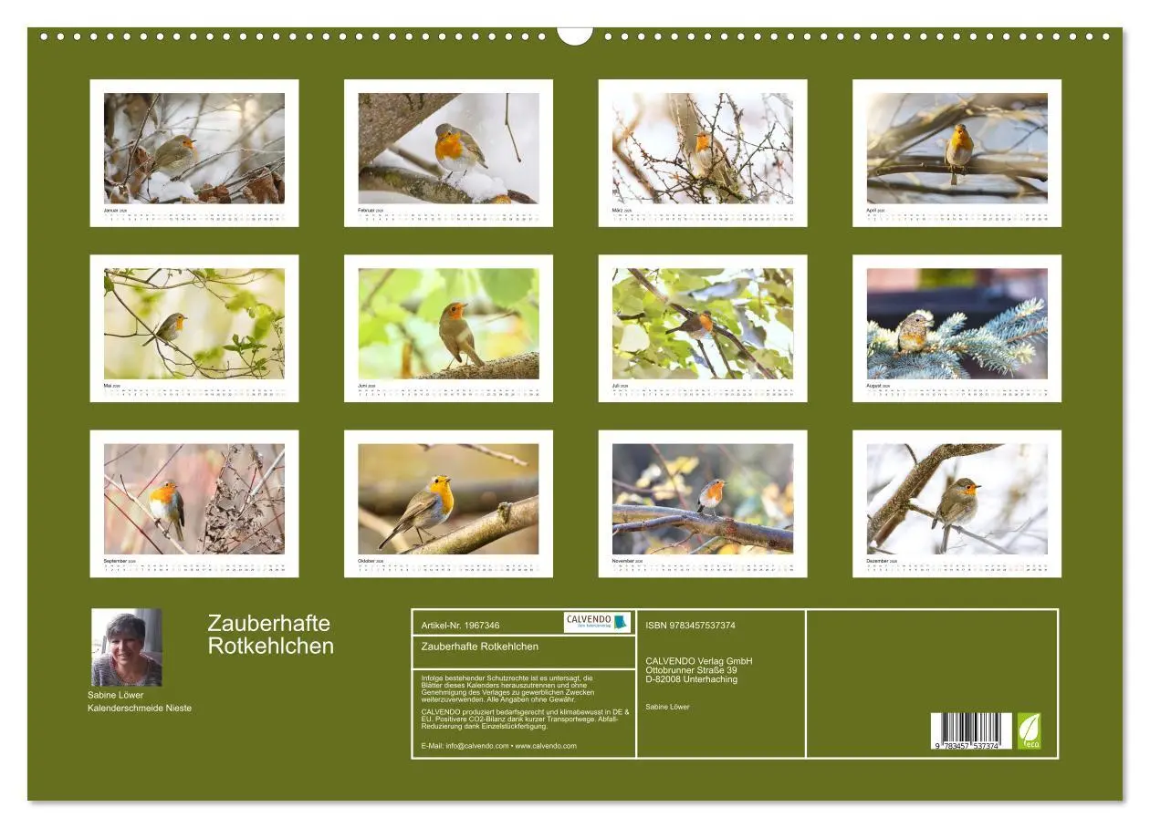 Bild: 9783457537374 | Zauberhafte Rotkehlchen (Wandkalender 2026 DIN A2 quer), CALVENDO...