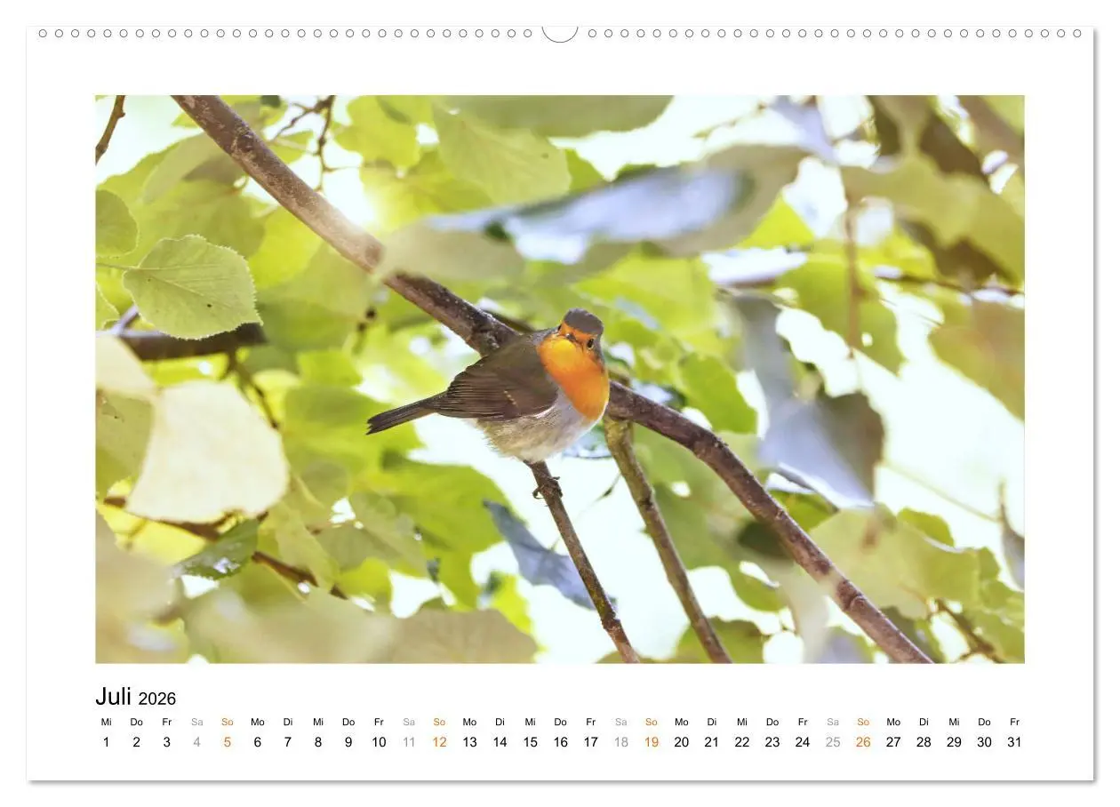 Bild: 9783457537374 | Zauberhafte Rotkehlchen (Wandkalender 2026 DIN A2 quer), CALVENDO...