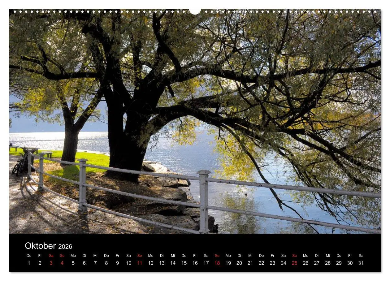 Bild: 9783516177374 | Bäume 2026 (hochwertiger Premium Wandkalender 2026 DIN A2 quer),...
