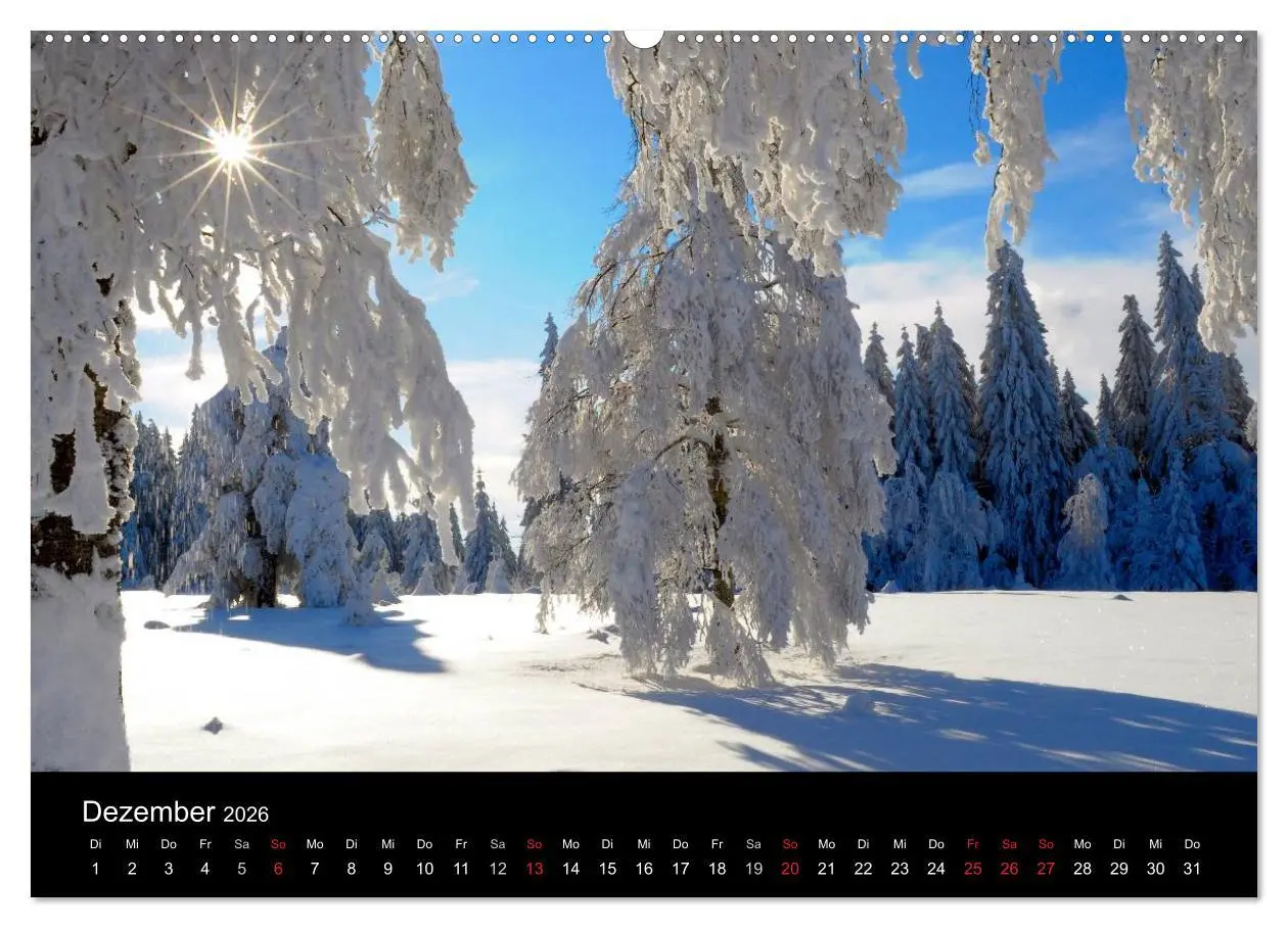 Bild: 9783516177374 | Bäume 2026 (hochwertiger Premium Wandkalender 2026 DIN A2 quer),...