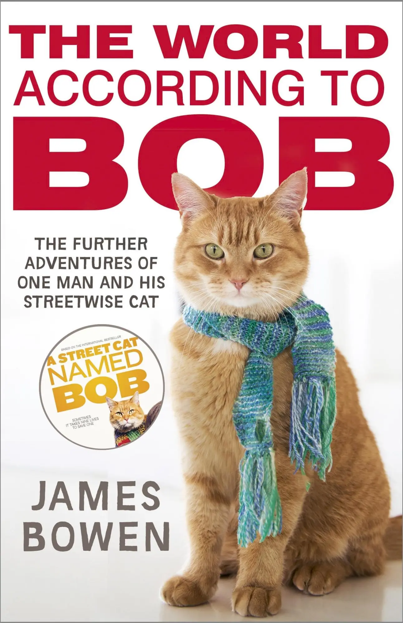 Cover: 9781444777574 | The World According to Bob | James Bowen | Taschenbuch | 286 S. | 2014
