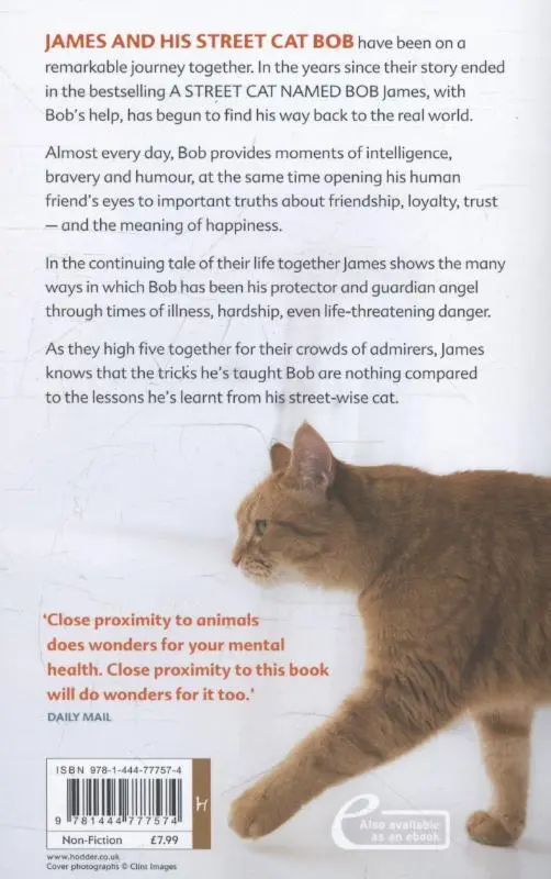 Rückseite: 9781444777574 | The World According to Bob | James Bowen | Taschenbuch | 286 S. | 2014