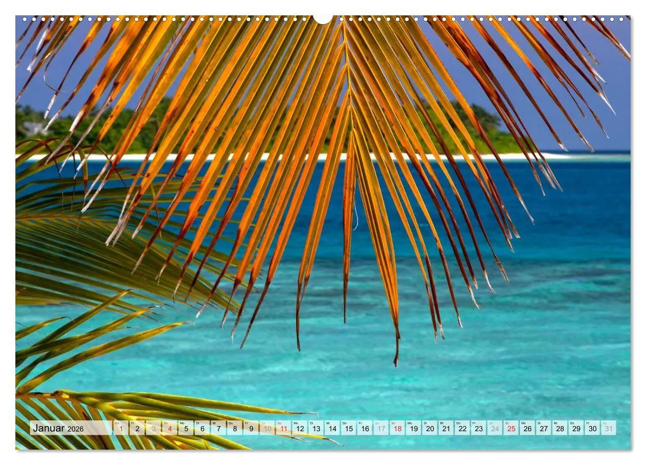 Bild: 9783516227574 | MALEDIVEN (Wandkalender 2026 DIN A2 quer), CALVENDO Monatskalender
