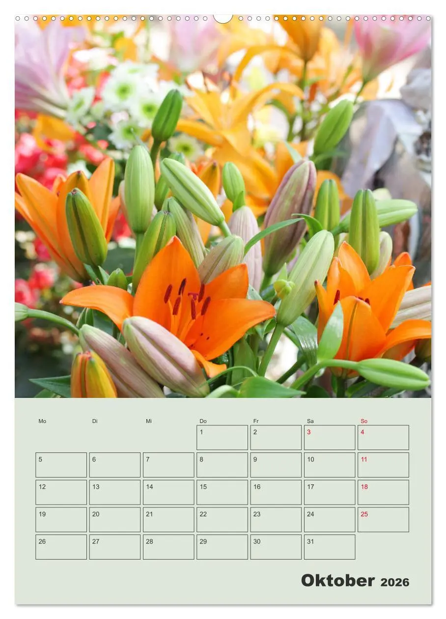 Bild: 9783516397574 | Lilien im Garten (Wandkalender 2026 DIN A2 hoch), CALVENDO...