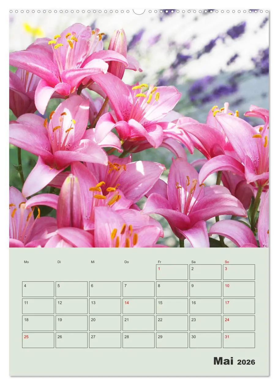 Bild: 9783516397574 | Lilien im Garten (Wandkalender 2026 DIN A2 hoch), CALVENDO...