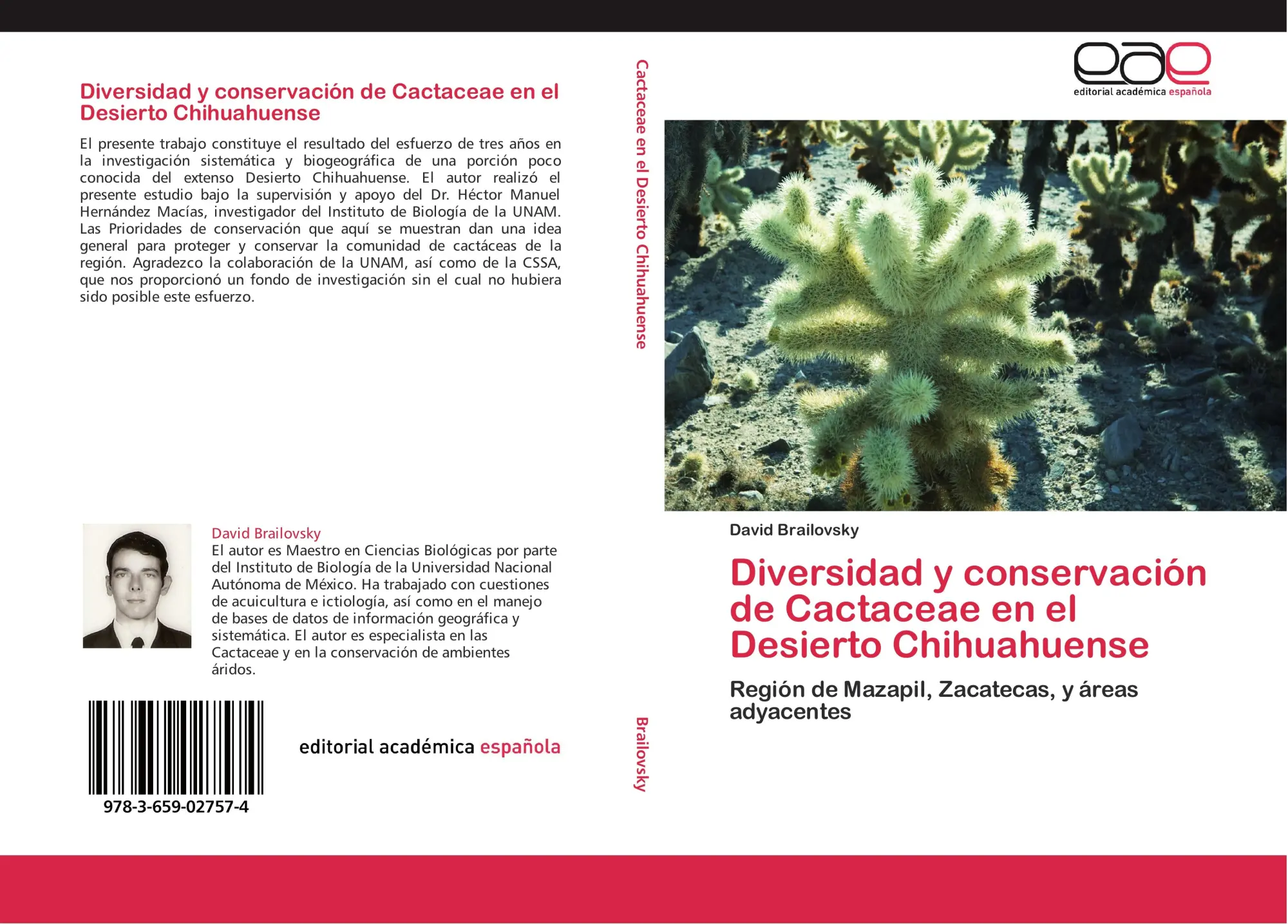 Cover: 9783659027574 | Diversidad y conservación de Cactaceae en el Desierto Chihuahuense