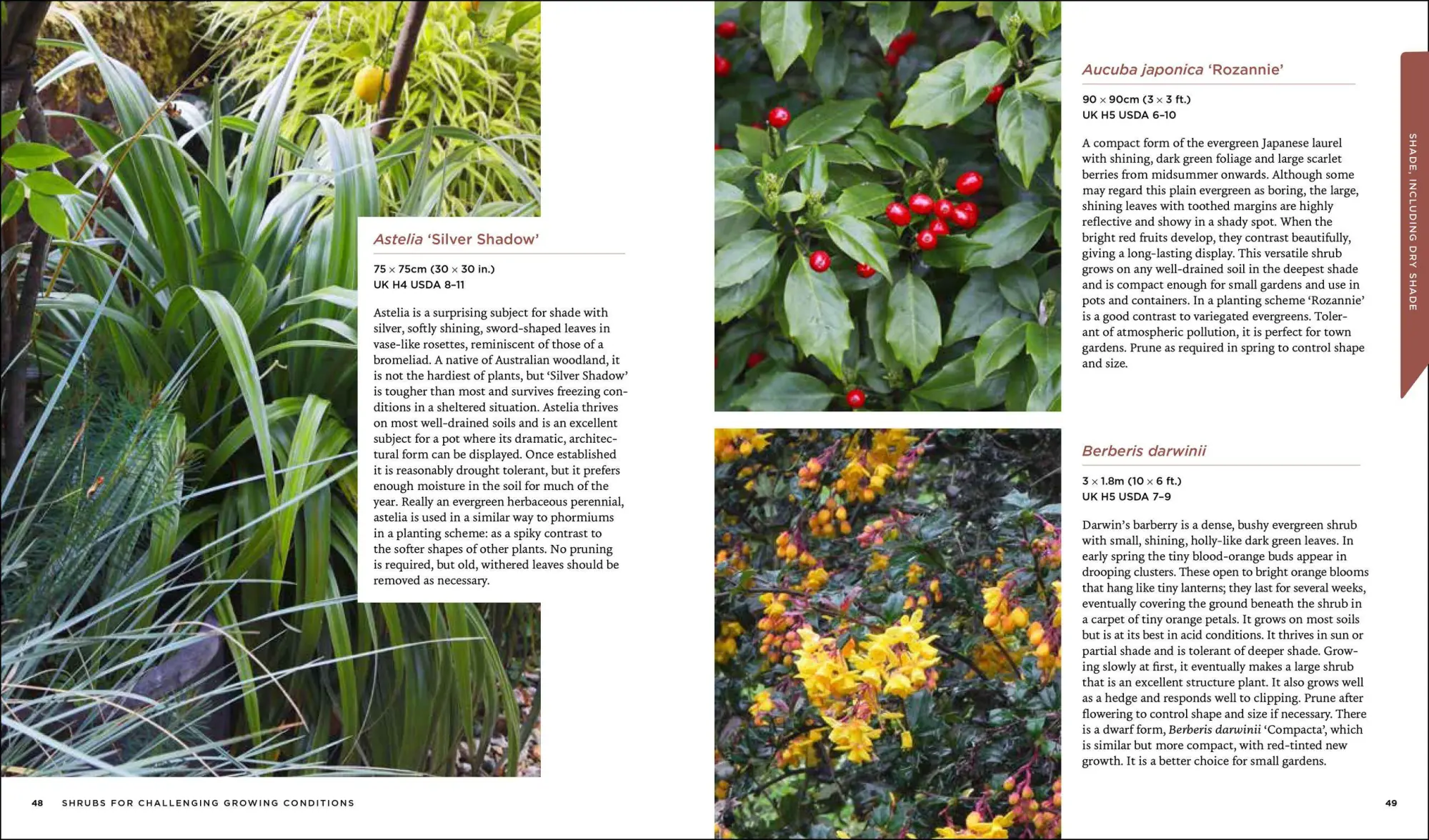 Bild: 9781604697674 | Shrubs | Discover the Perfect Plant for Every Place in Your Garden