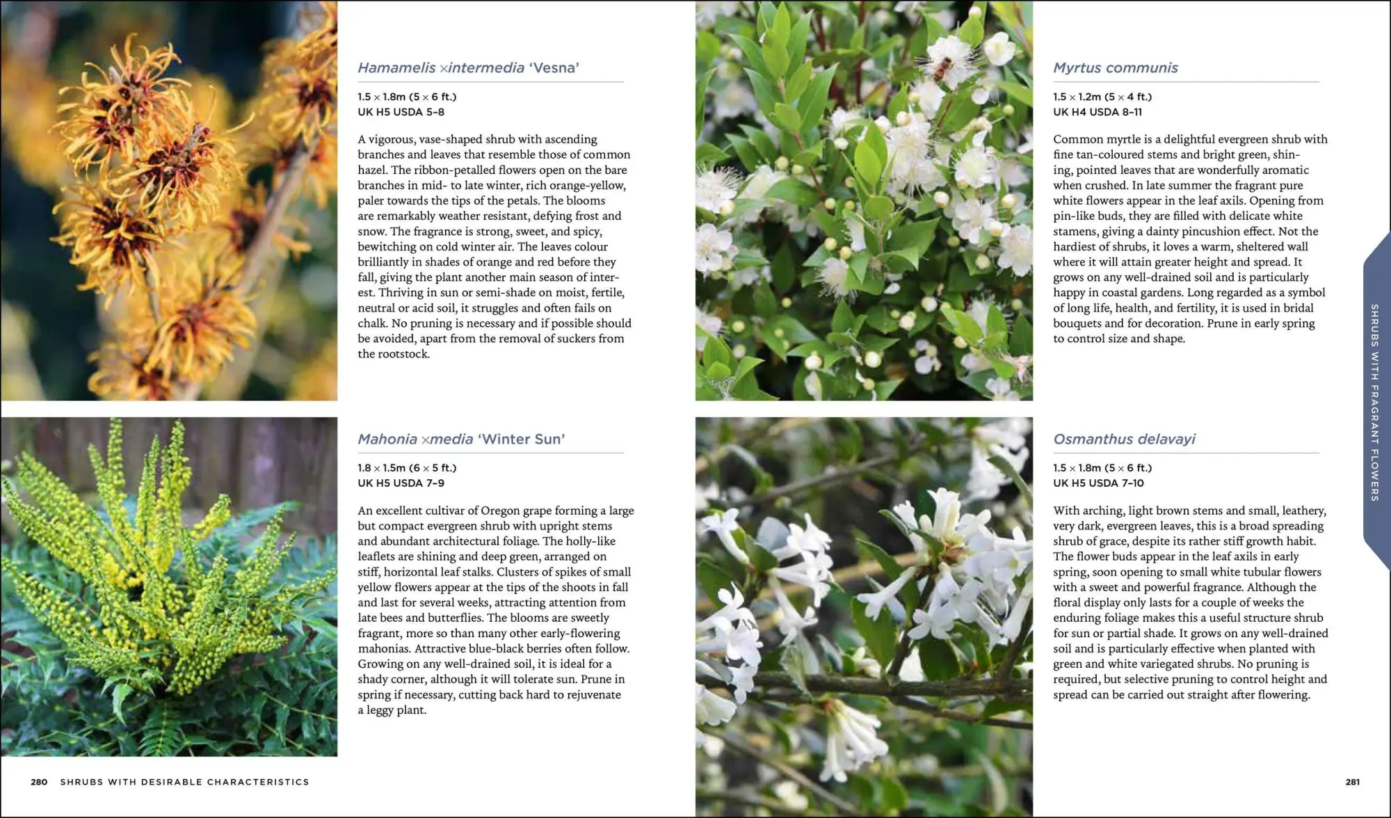 Bild: 9781604697674 | Shrubs | Discover the Perfect Plant for Every Place in Your Garden