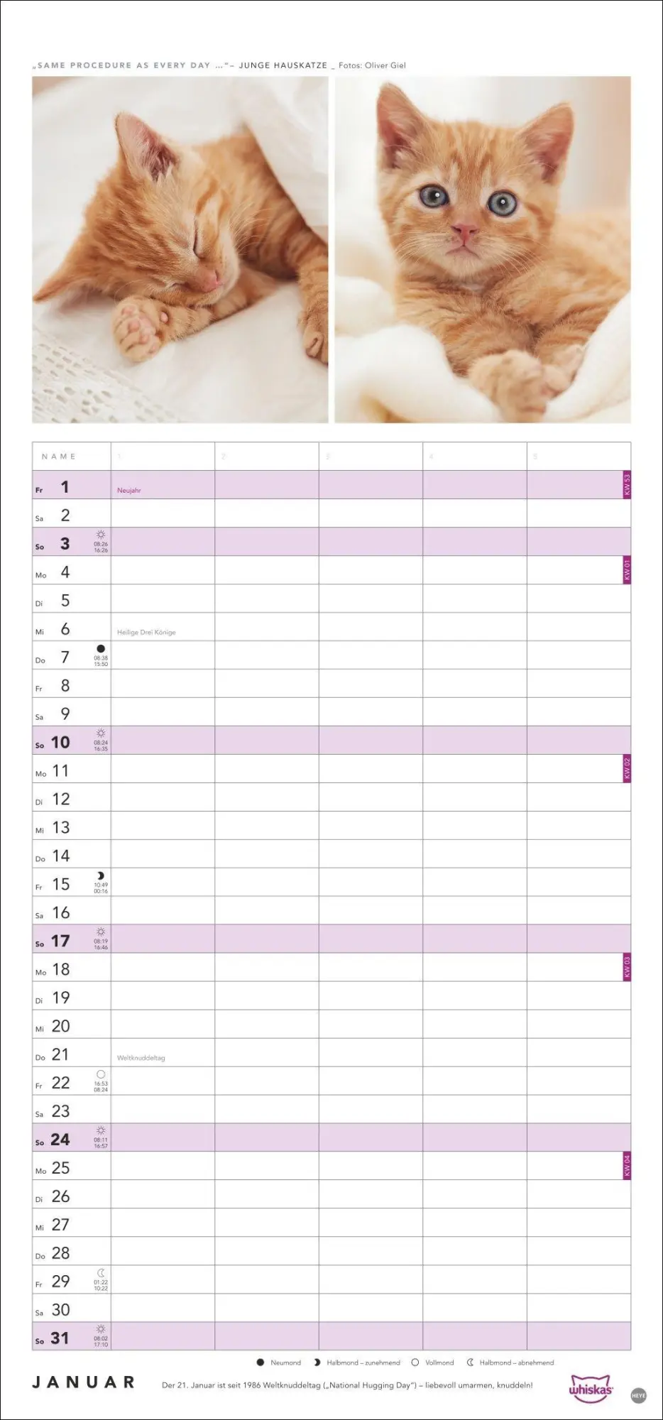 Bild: 9783756417674 | Whiskas Familienplaner 2027 | Kalender | Familienplaner Athesia | 2027
