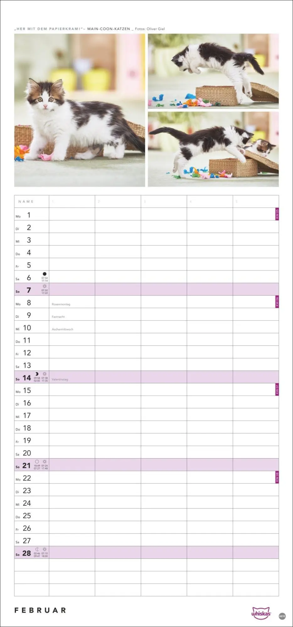 Bild: 9783756417674 | Whiskas Familienplaner 2027 | Kalender | Familienplaner Athesia | 2027