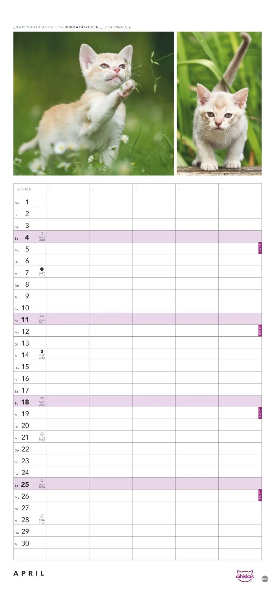 Bild: 9783756417674 | Whiskas Familienplaner 2027 | Kalender | Familienplaner Athesia | 2027