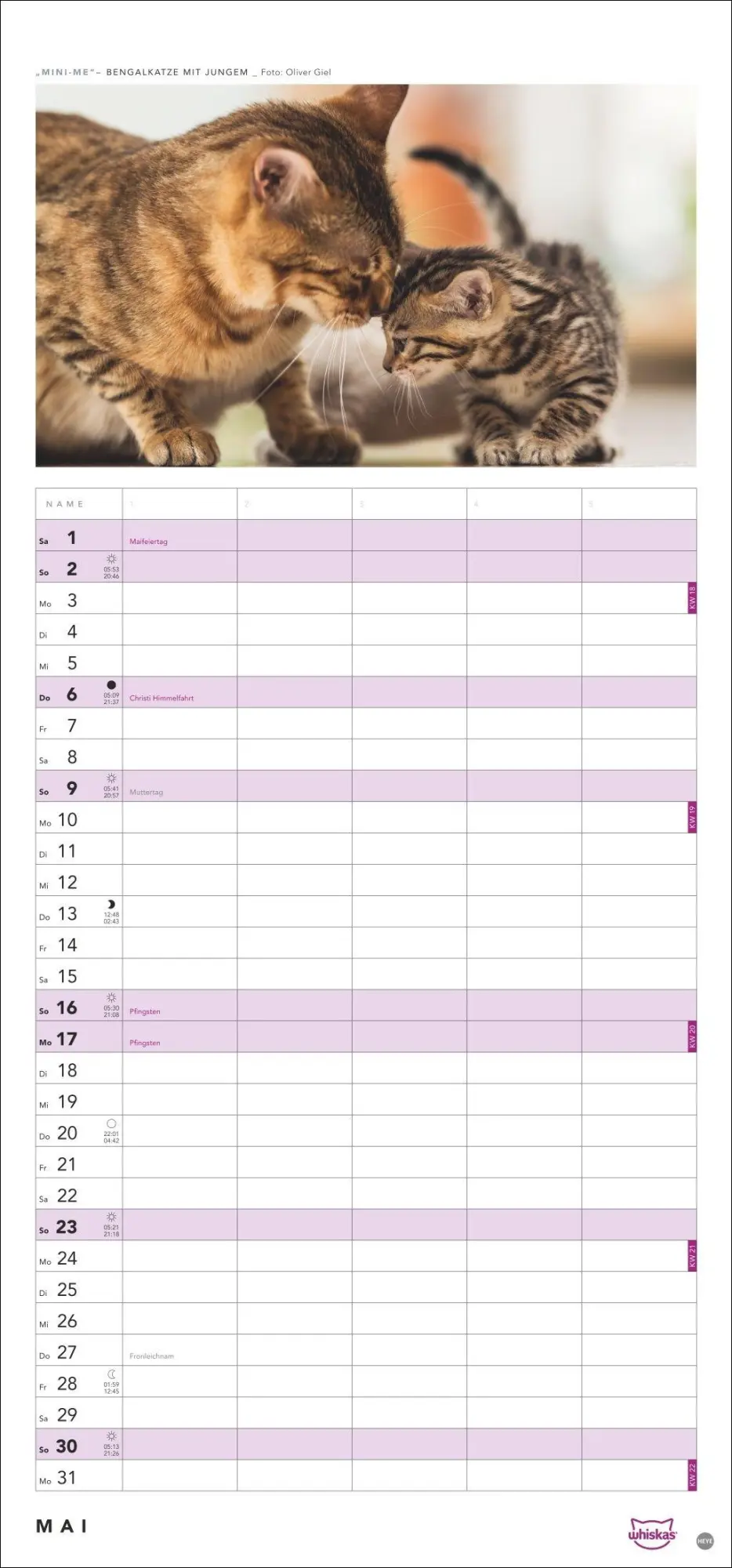 Bild: 9783756417674 | Whiskas Familienplaner 2027 | Kalender | Familienplaner Athesia | 2027