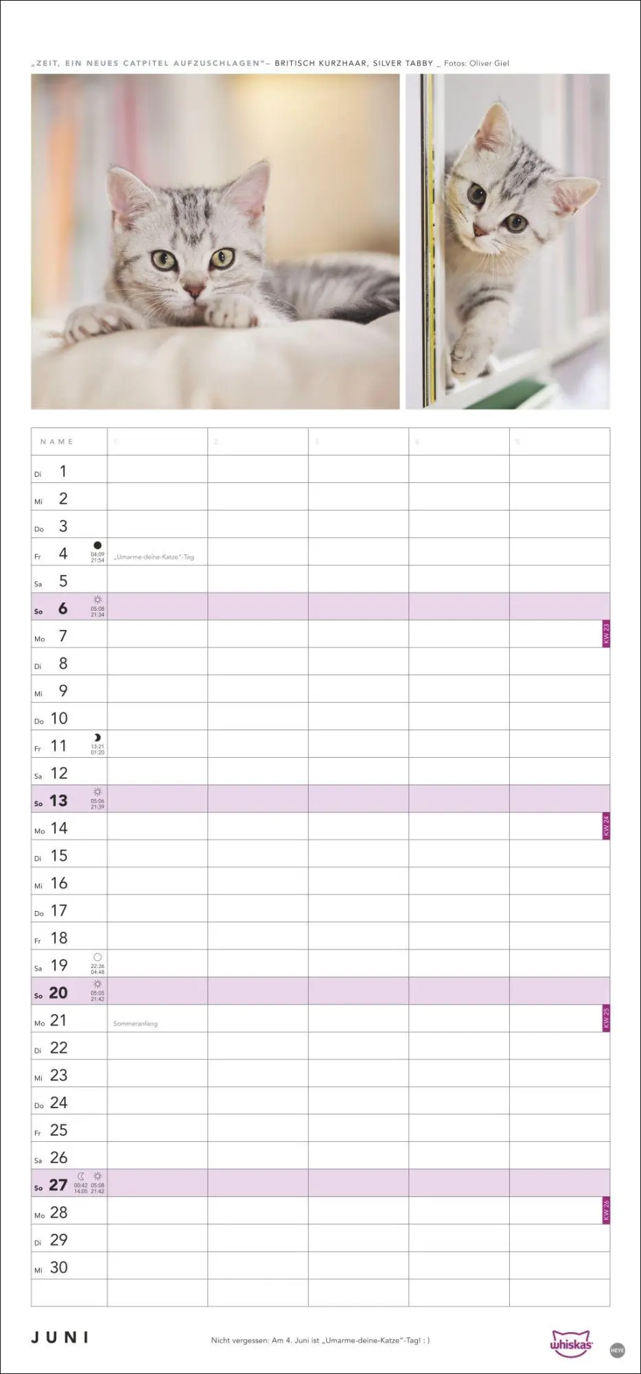 Bild: 9783756417674 | Whiskas Familienplaner 2027 | Kalender | Familienplaner Athesia | 2027