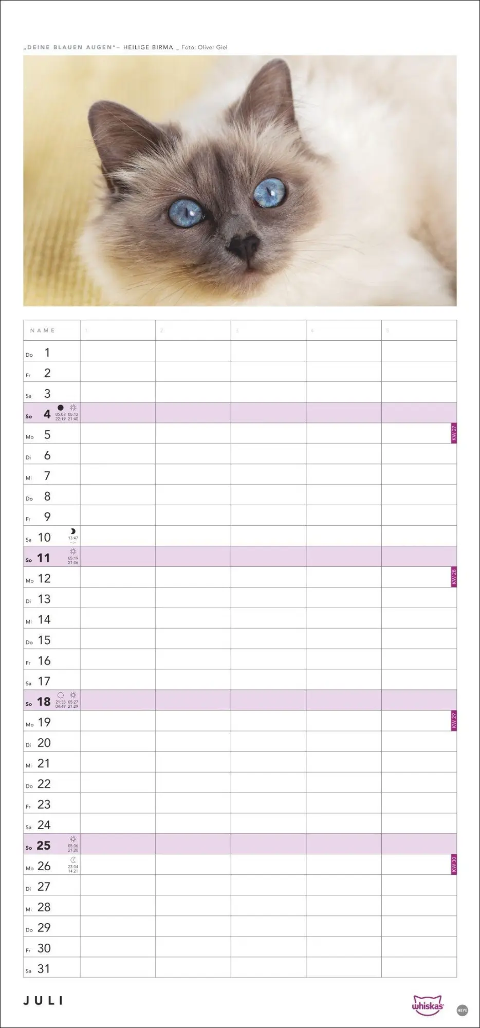 Bild: 9783756417674 | Whiskas Familienplaner 2027 | Kalender | Familienplaner Athesia | 2027