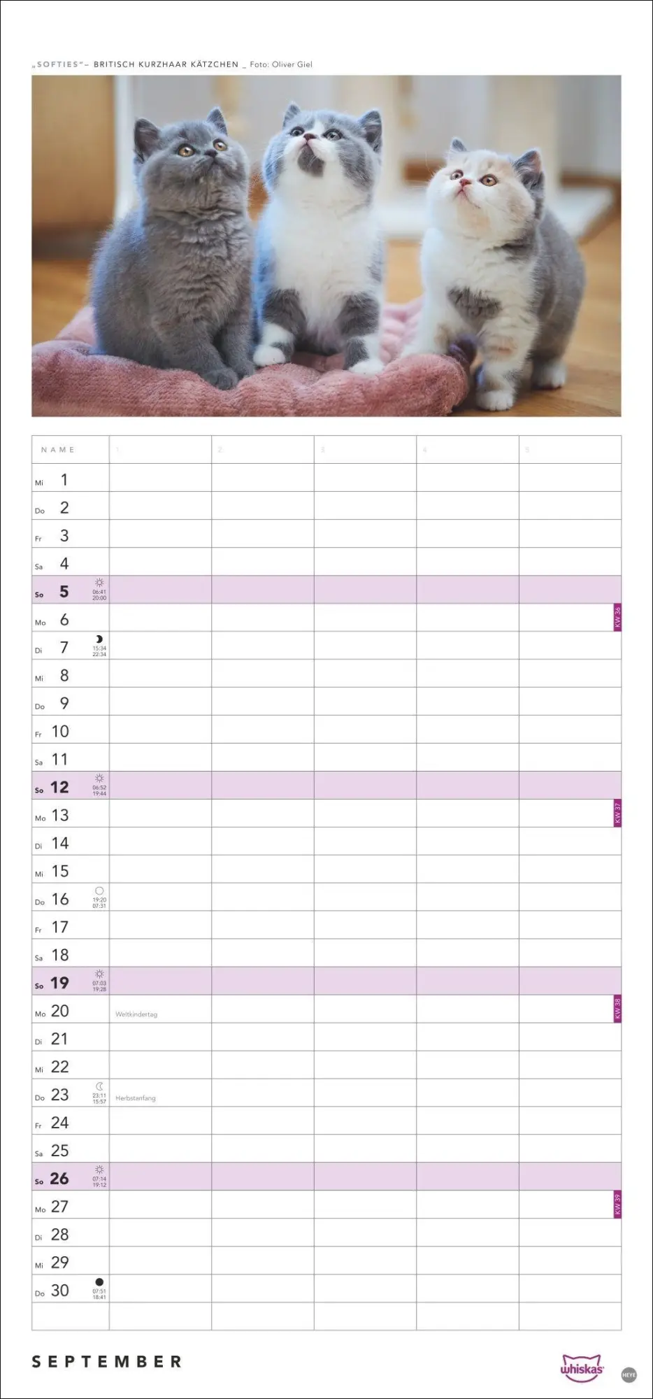 Bild: 9783756417674 | Whiskas Familienplaner 2027 | Kalender | Familienplaner Athesia | 2027