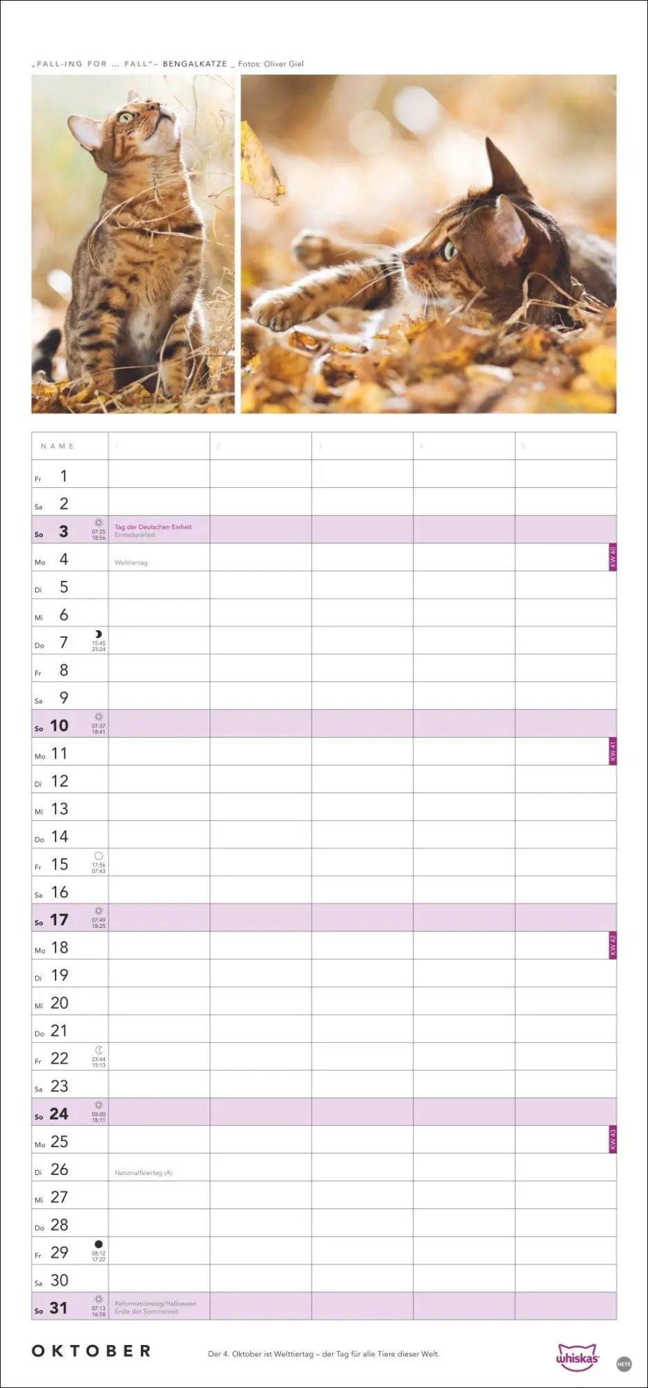 Bild: 9783756417674 | Whiskas Familienplaner 2027 | Kalender | Familienplaner Athesia | 2027