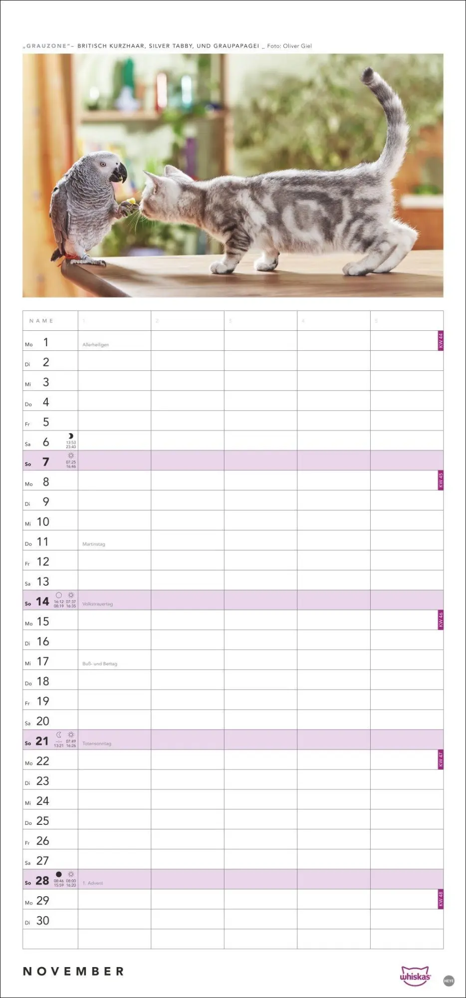 Bild: 9783756417674 | Whiskas Familienplaner 2027 | Kalender | Familienplaner Athesia | 2027