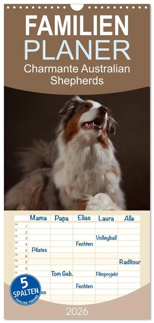 Cover: 9783516517774 | Familienplaner 2026 - Charmante Australian Shepherds mit 5 Spalten...
