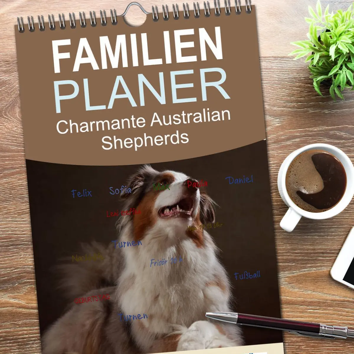 Bild: 9783516517774 | Familienplaner 2026 - Charmante Australian Shepherds mit 5 Spalten...