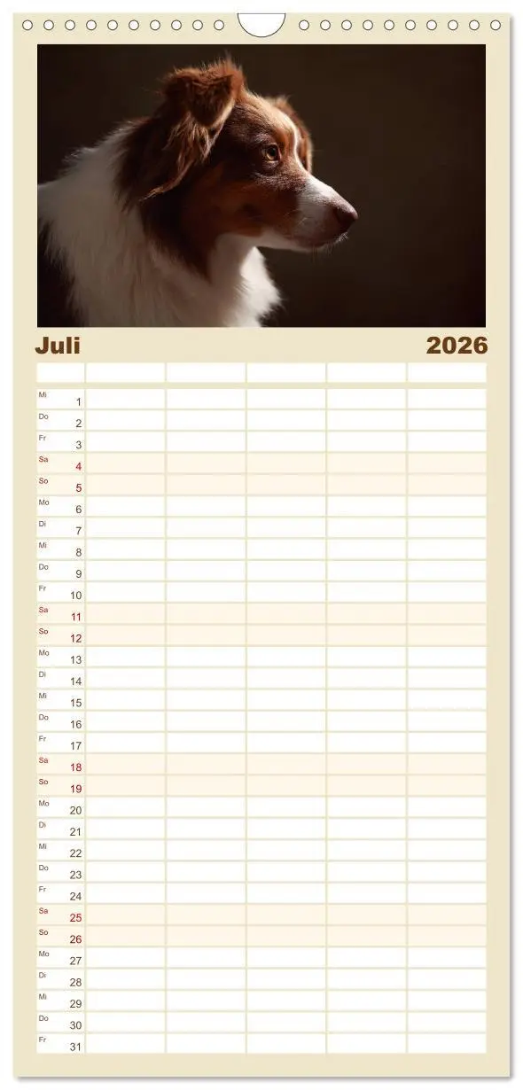Bild: 9783516517774 | Familienplaner 2026 - Charmante Australian Shepherds mit 5 Spalten...