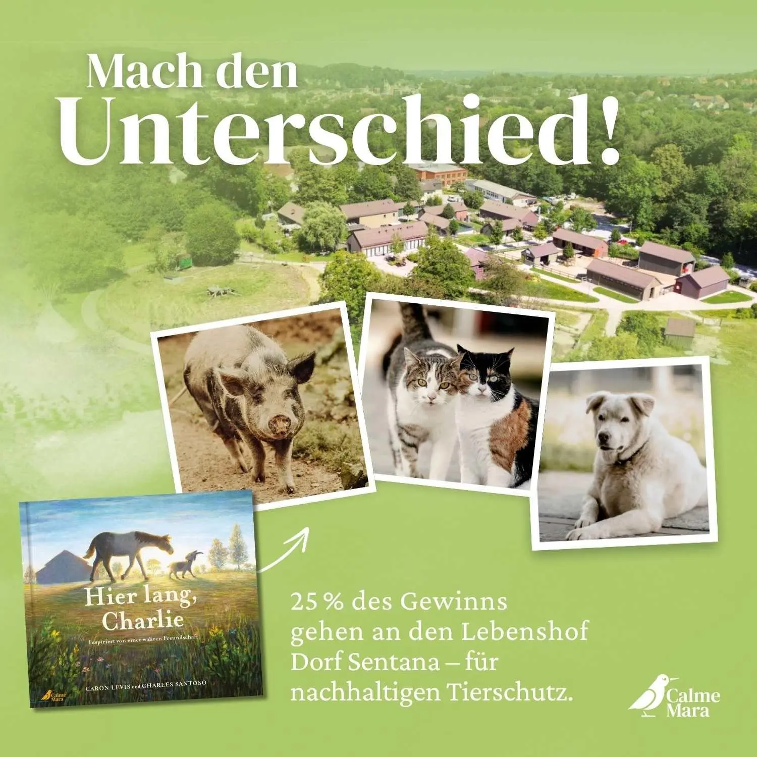 Bild: 9783948877774 | Hier lang, Charlie | Caron Levis | Buch | 48 S. | Deutsch | 2025