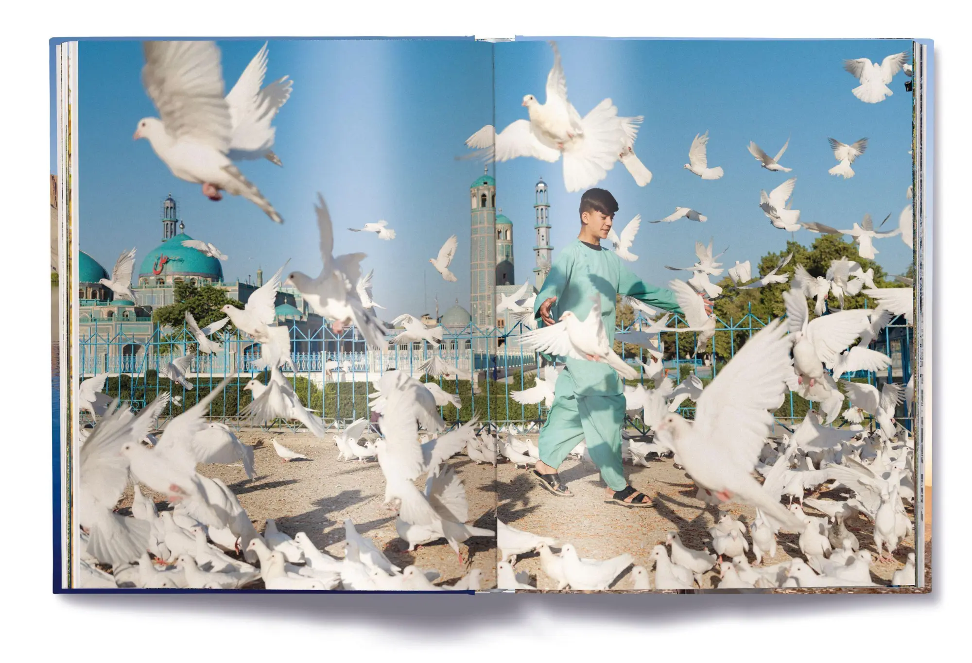 Bild: 9783961717774 | Afghanistan | Daniel Malikyar | Buch | 240 S. | Deutsch | 2026