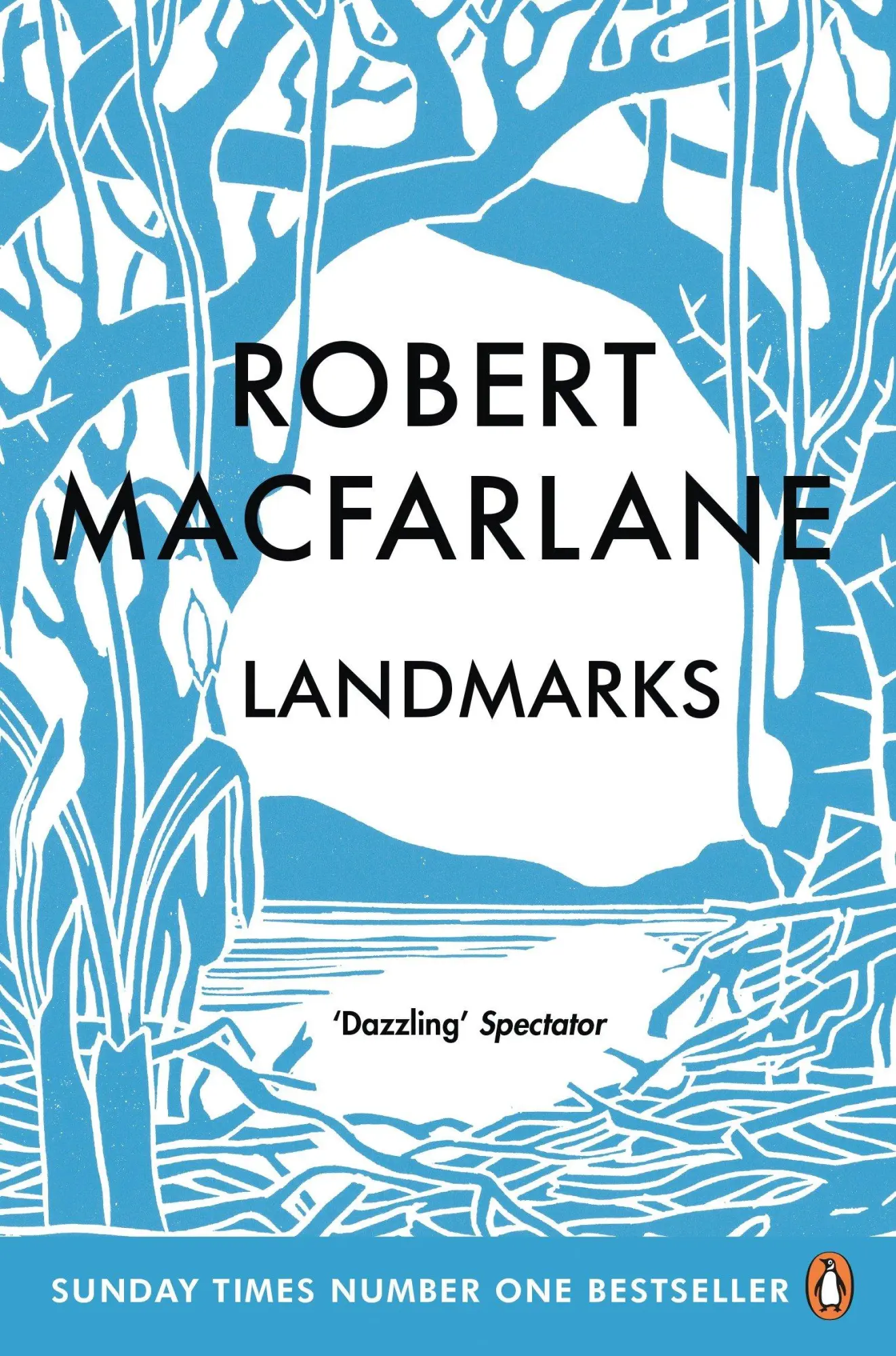 Cover: 9780241967874 | Landmarks | Robert Macfarlane | Taschenbuch | 434 S. | Englisch | 2016