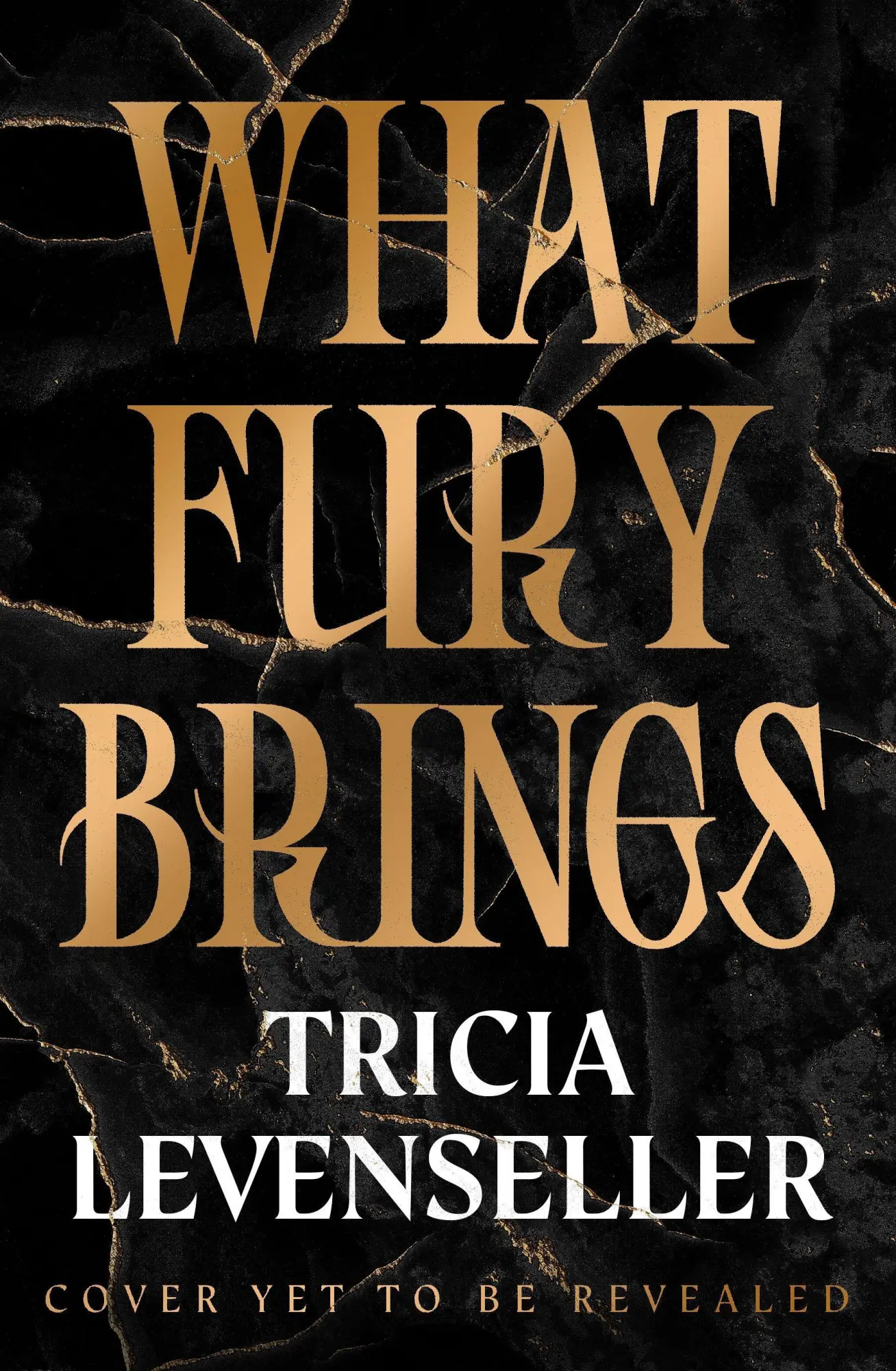 Cover: 9781805337874 | What Fury Brings | Tricia Levenseller | Taschenbuch | Paperback | 2025