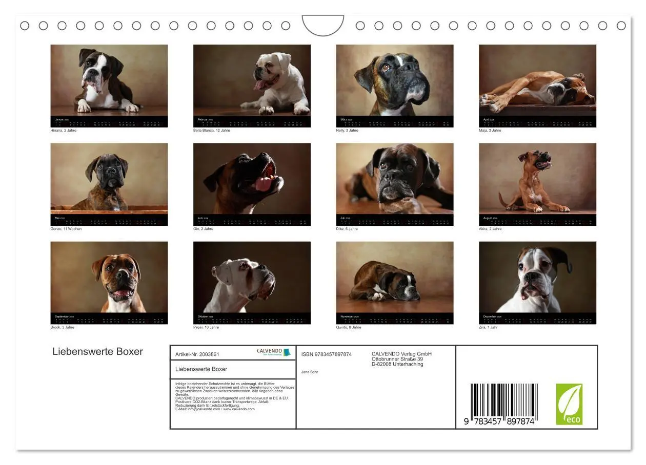 Bild: 9783457897874 | Liebenswerte Boxer (Wandkalender 2026 DIN A4 quer), CALVENDO...