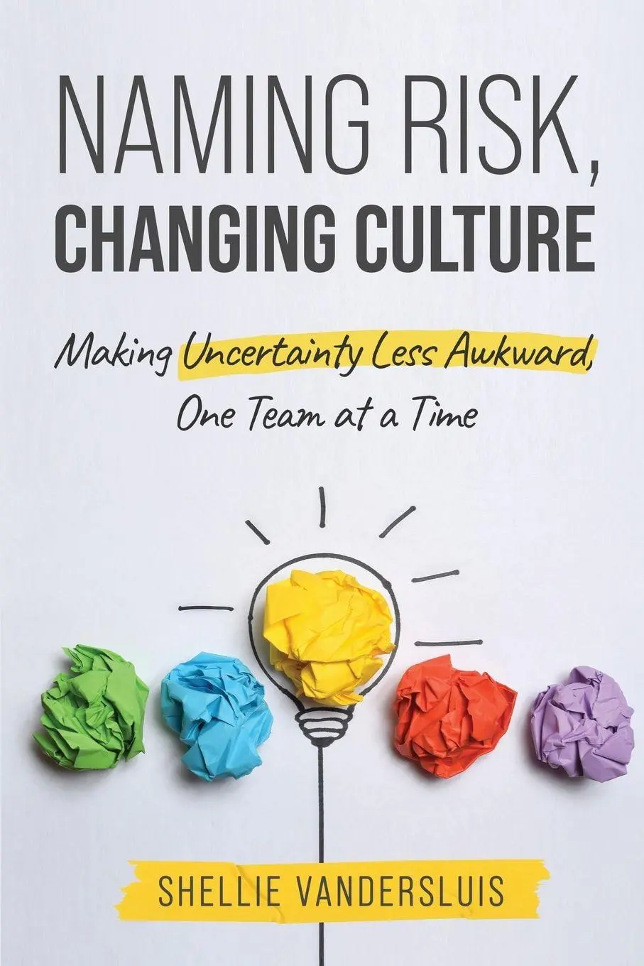 Cover: 9798349607974 | Naming Risk, Changing Culture | Shellie Vandersluis | Taschenbuch