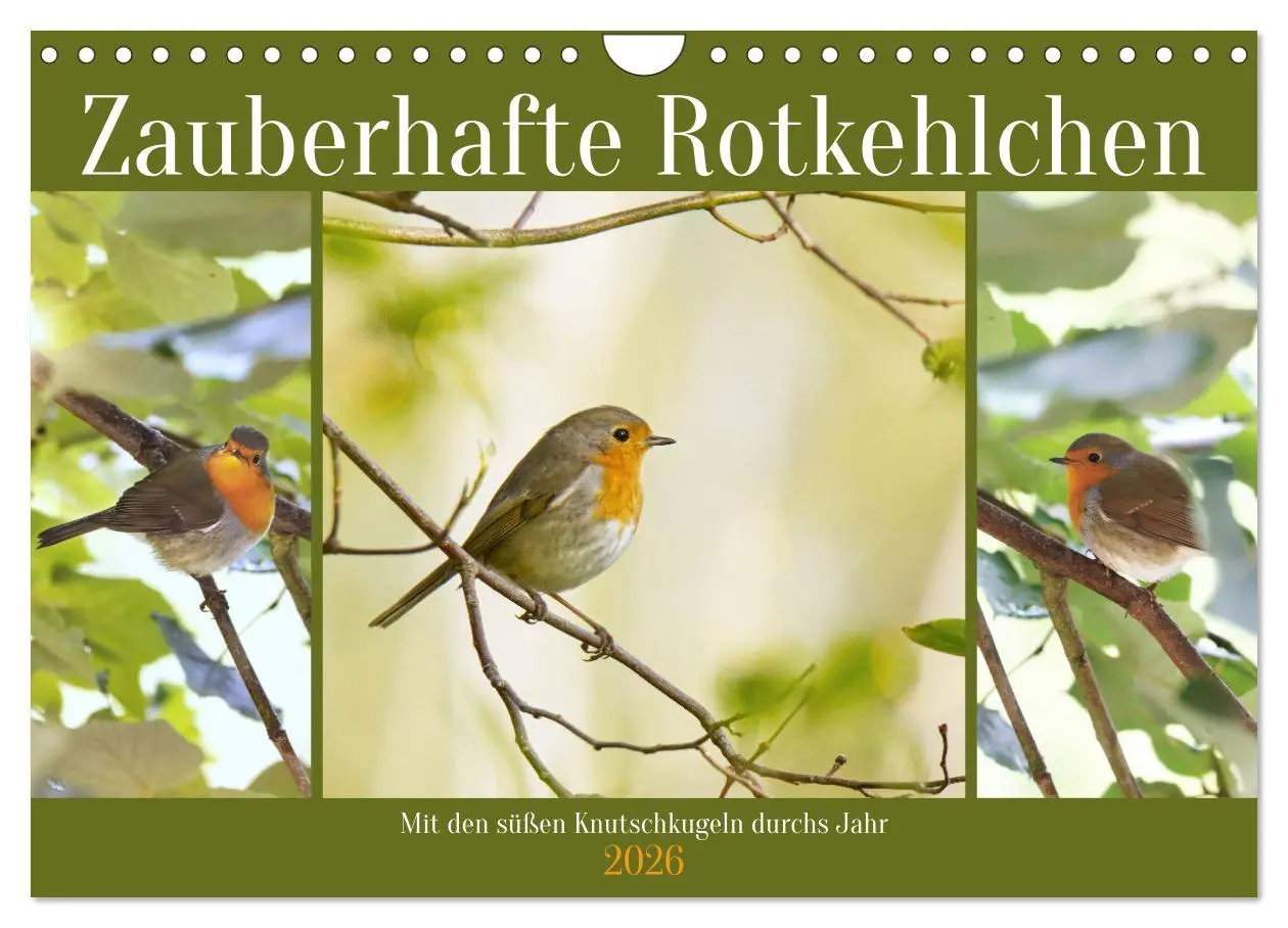 Cover: 9783457538074 | Zauberhafte Rotkehlchen (Wandkalender 2026 DIN A4 quer), CALVENDO...