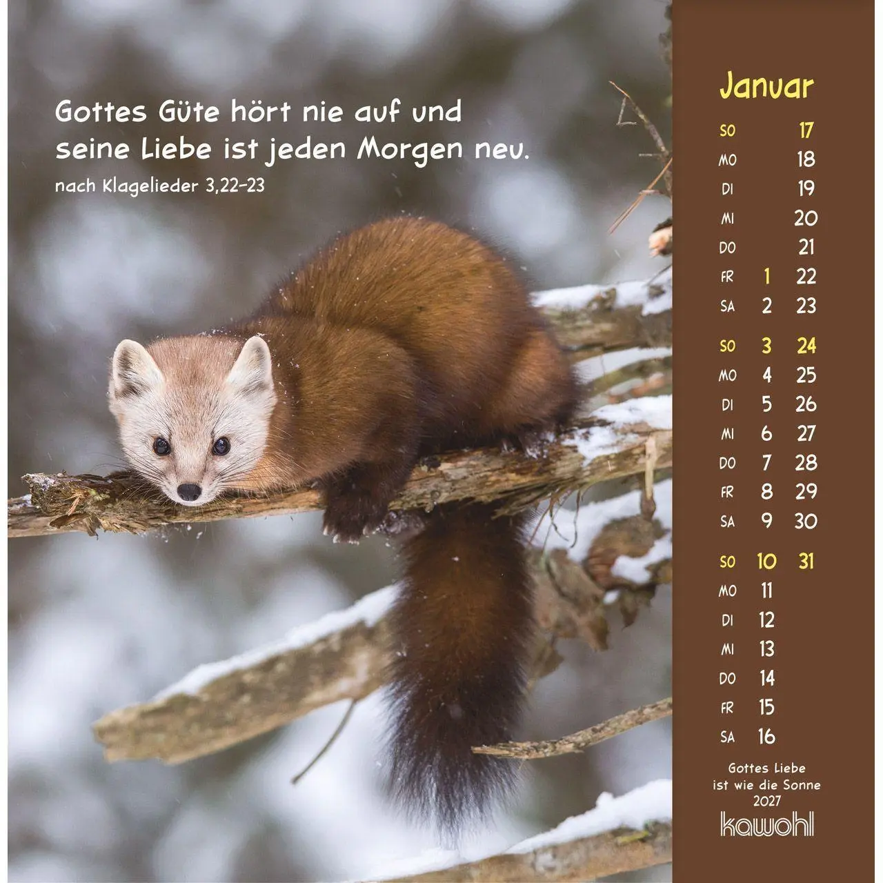 Bild: 9783754848074 | Gottes Liebe ist wie die Sonne 2027 | Tierkalender mit Bibelworten