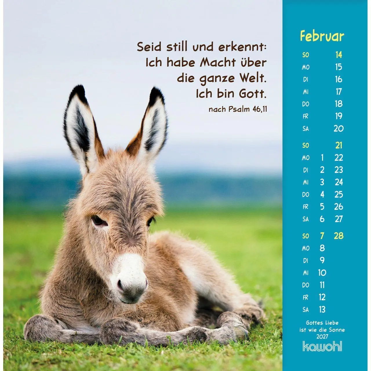 Bild: 9783754848074 | Gottes Liebe ist wie die Sonne 2027 | Tierkalender mit Bibelworten