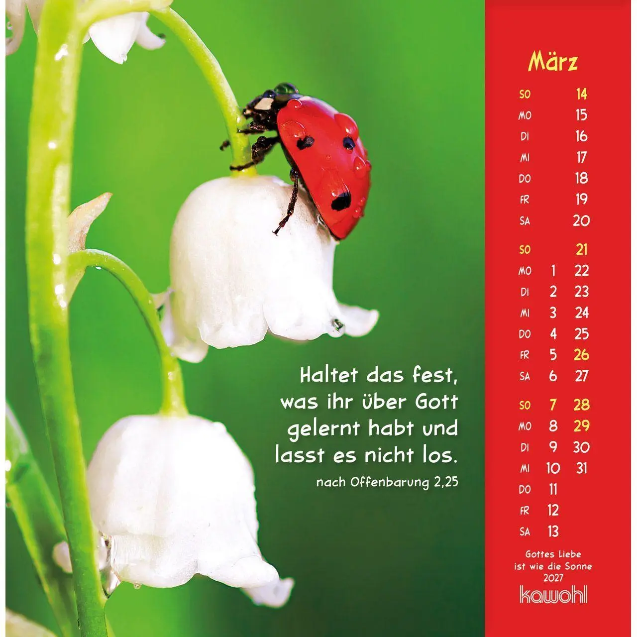 Bild: 9783754848074 | Gottes Liebe ist wie die Sonne 2027 | Tierkalender mit Bibelworten