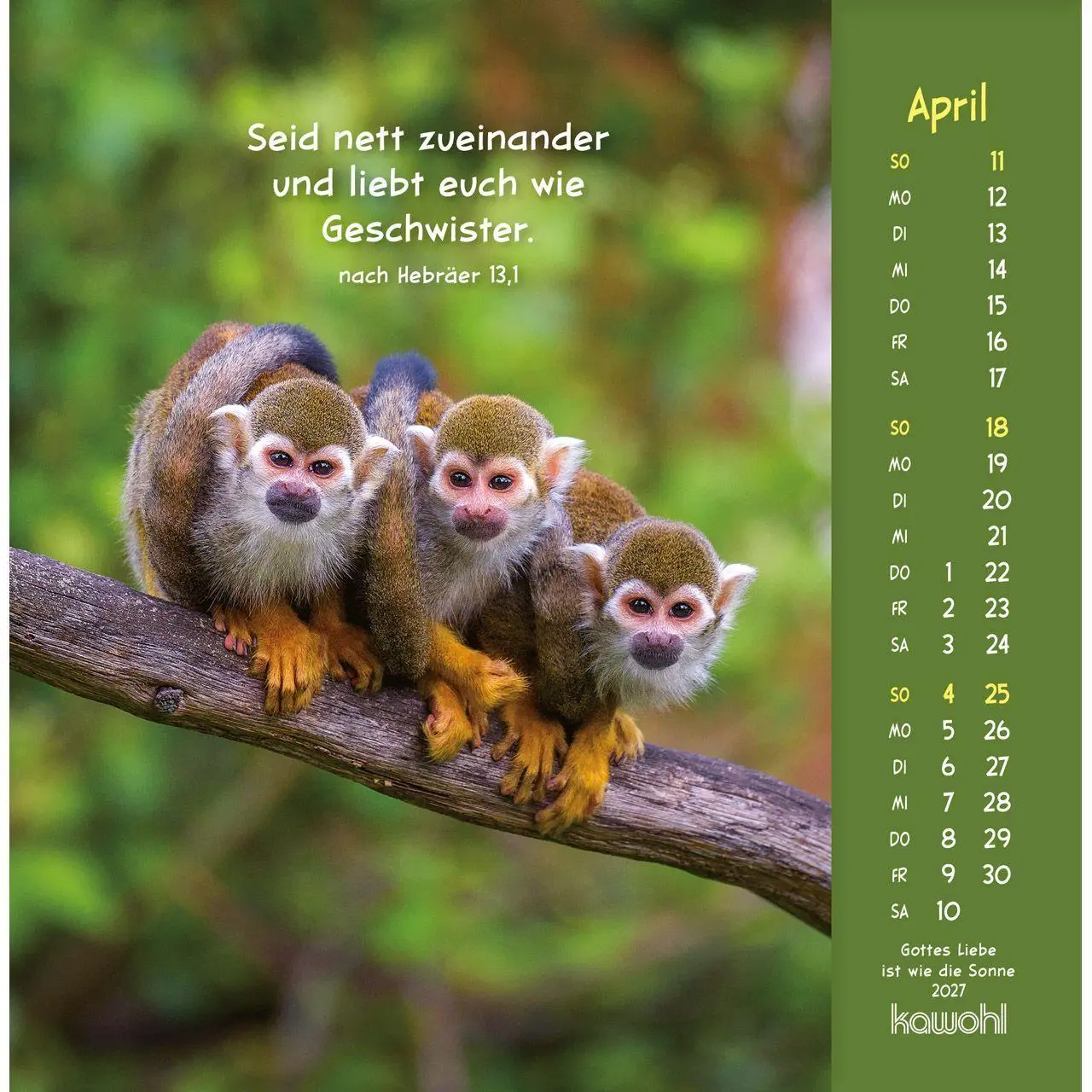 Bild: 9783754848074 | Gottes Liebe ist wie die Sonne 2027 | Tierkalender mit Bibelworten