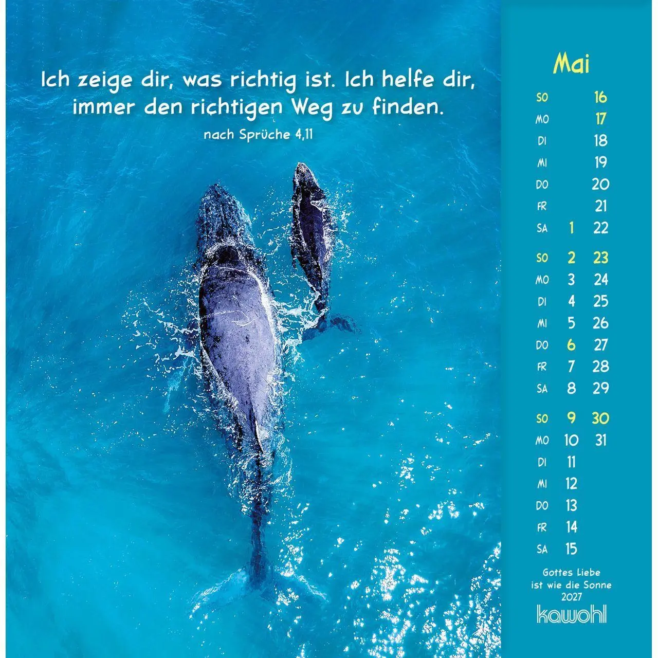 Bild: 9783754848074 | Gottes Liebe ist wie die Sonne 2027 | Tierkalender mit Bibelworten