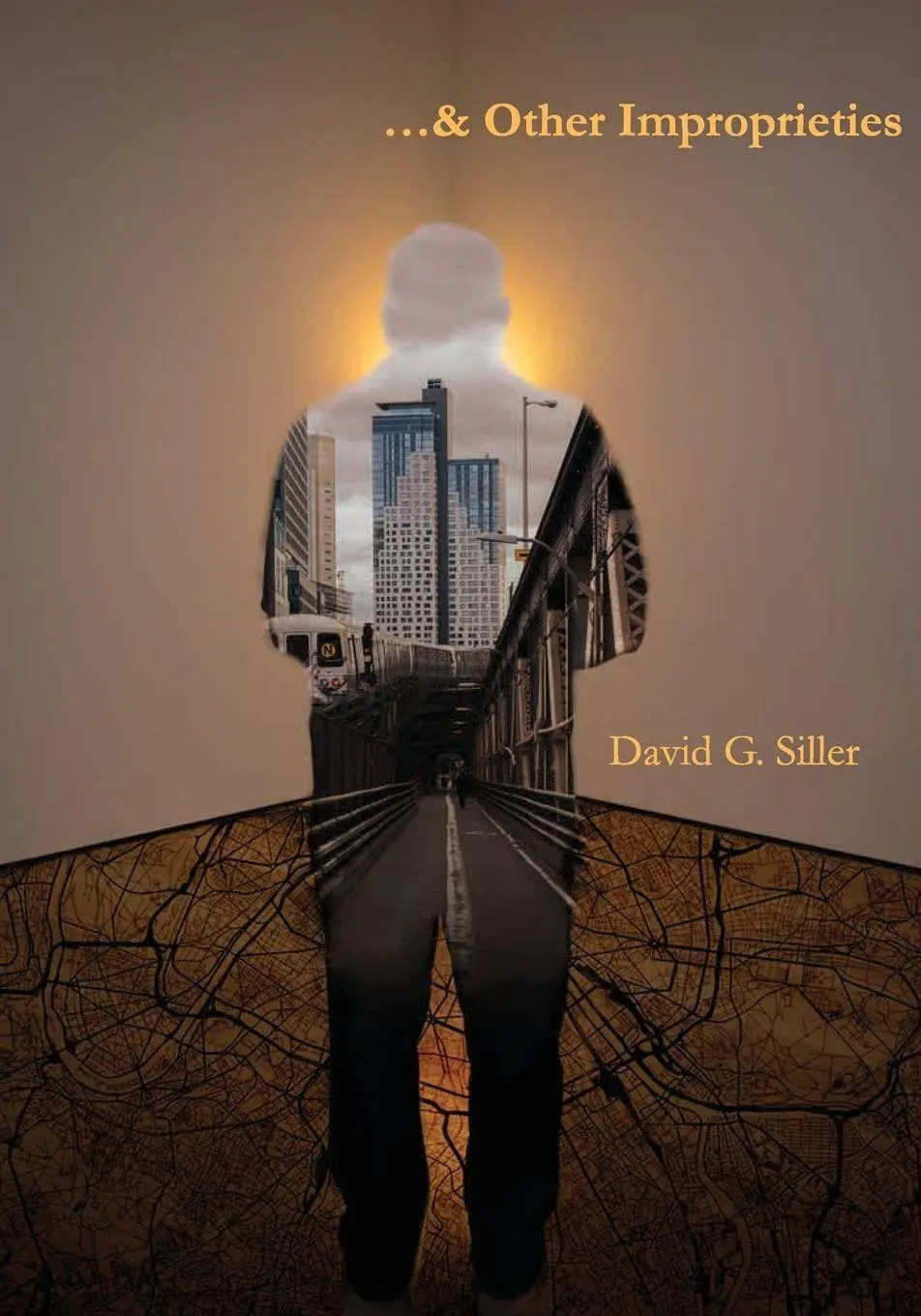 Cover: 9781739288174 | ...&amp; Other Improprieties | David G. Siller | Taschenbuch | Englisch