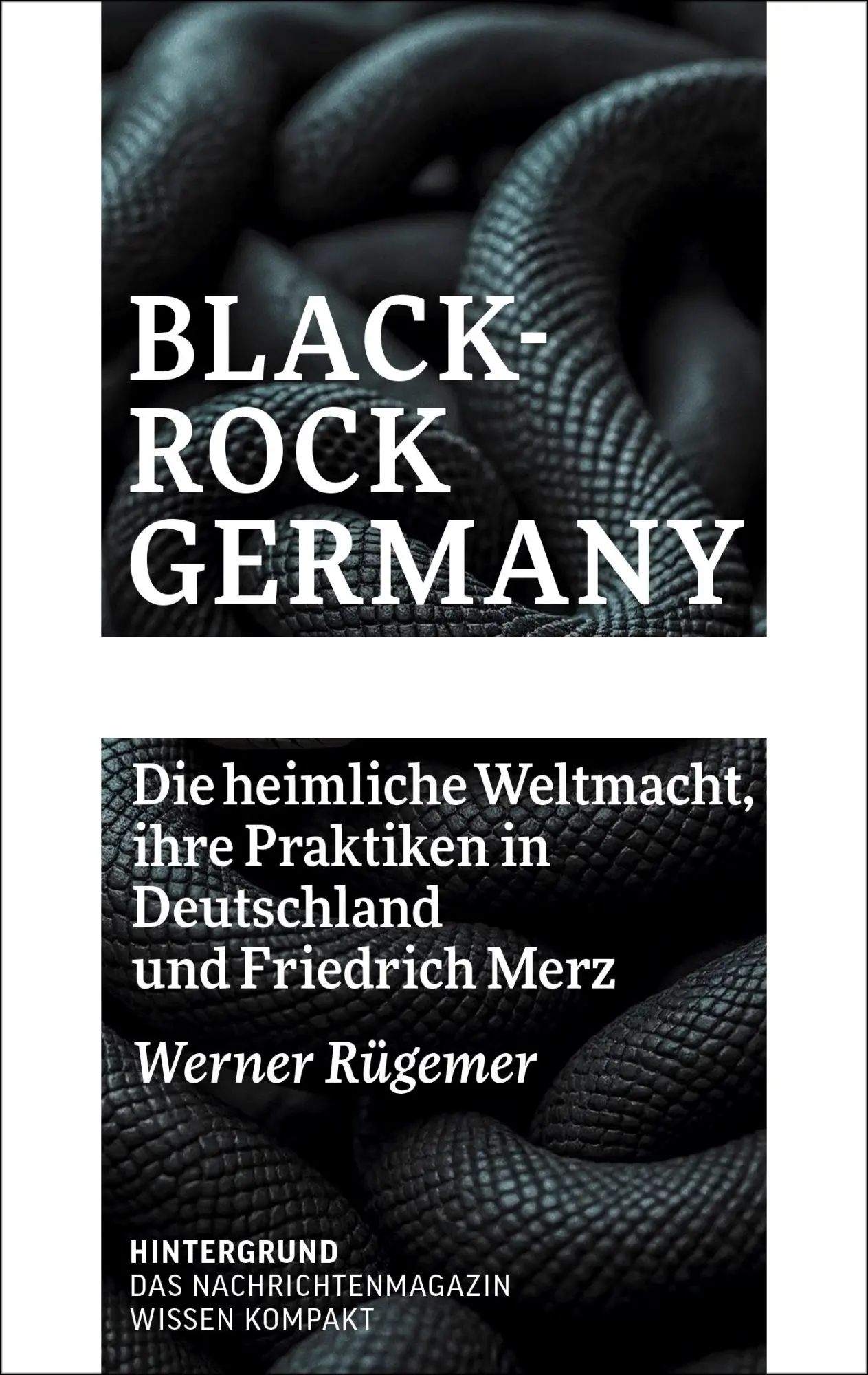 Cover: 9783910568174 | BlackRock Germany | Werner Rügemer | Taschenbuch | Deutsch | 2025